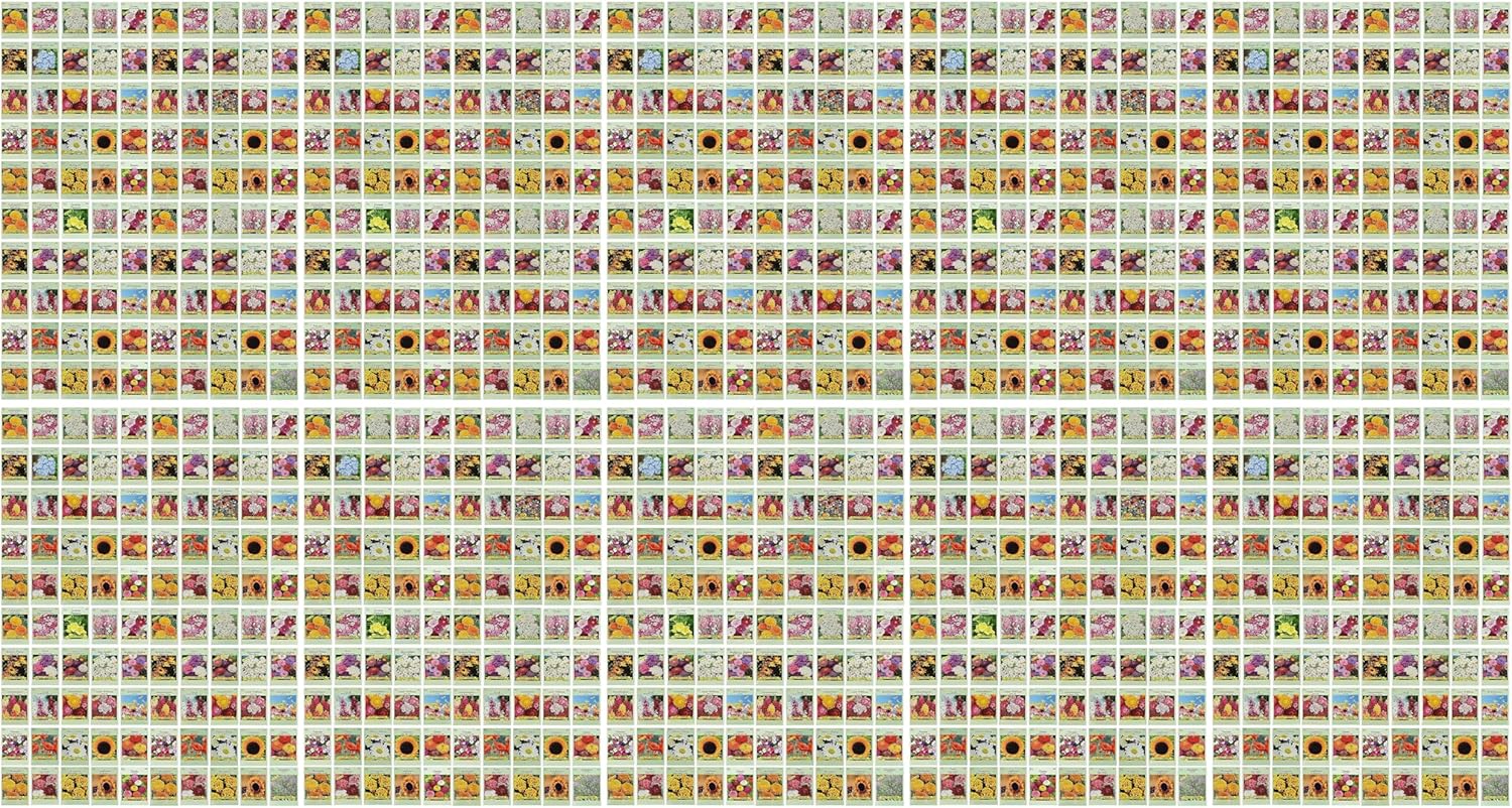 Set of 1000 Assorted Flower Seed Packets - Easy to Grow Varieties