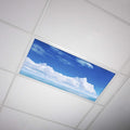 Fluorescent Light Cover 2x4 Backlit Film Insert (Pack of 1) - Calming