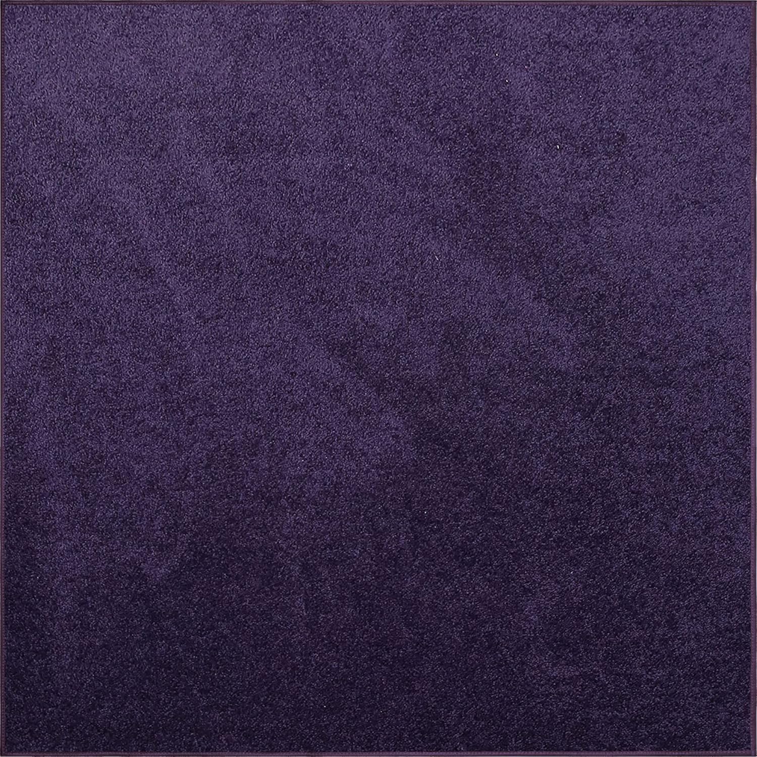 Ambiant Pet Friendly Solid Color Area Rugs for Modern Homes