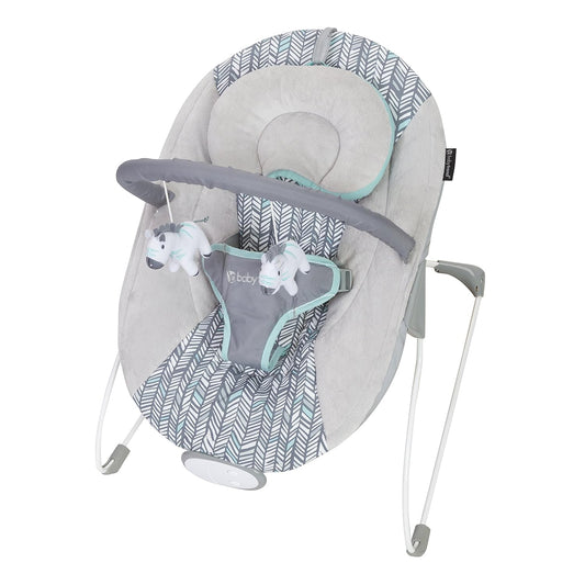 Comfort in Style: Smart Steps Bouncer Ziggy