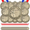 Quelay Gold Award Medals 60 Pcs 2in Neck Ribbons for Events