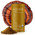 MUDWTR Turmeric Decaf Mushroom Drink - Zero Caffeine Focus & Immunity