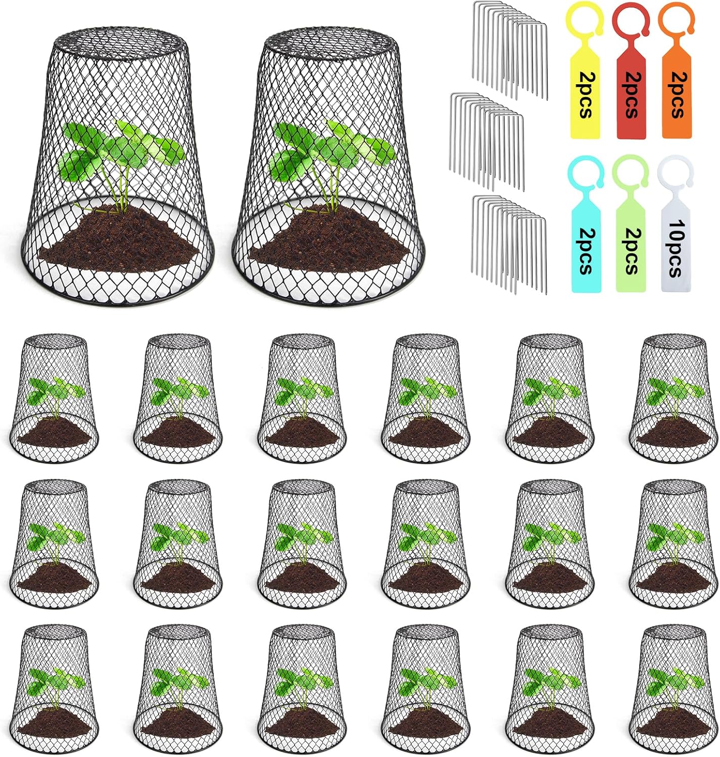 20 Pcs Seedling Plant Protectors for Garden Cloche Protection
