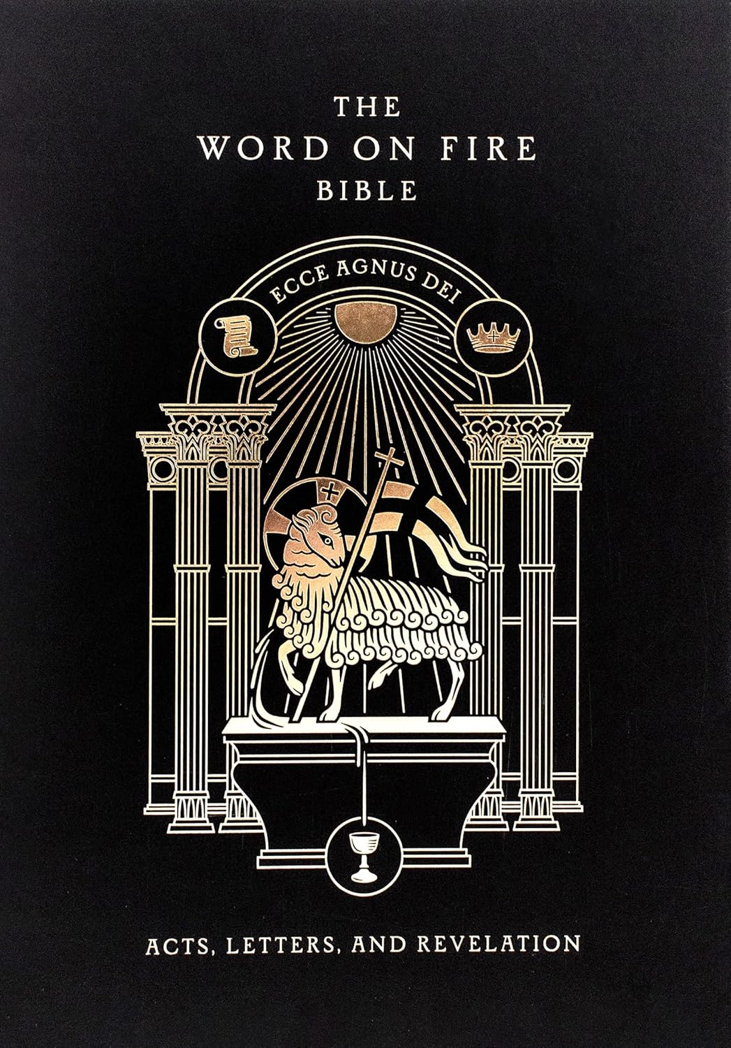 The Word on Fire Bible Volume II: Acts, Letters and Revelation