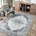 Dripex Vintage 5x7 Area Rugs - Soft Non-Slip Indoor Carpet