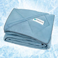 PetAmi Premium Cooling Dog Blanket - Reversible Cozy Pet Throw