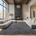 Grey Area Rugs 9x12 Living Room Shag Rug - Soft Washable Plush