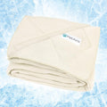 PetAmi Premium Cooling Dog Blanket 40x60 - Reversible Cozy Protector