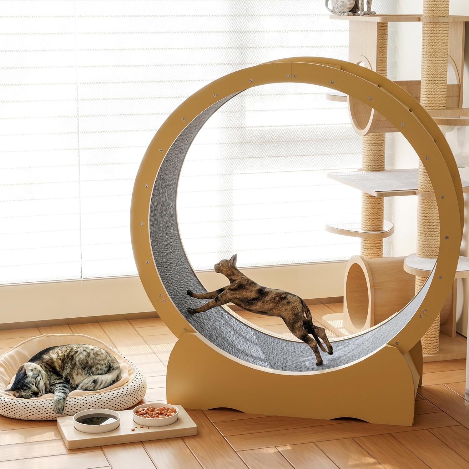 45 Cat Wheel for Indoor Cats - Noise-Free Fitness Toy
