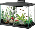 Aqueon 20 Gallon High Fish Tank Starter Kit with LED Lighting