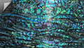 Blue Paua Shell Veneer Sheet for Inlay and Overlay - Natural Thin