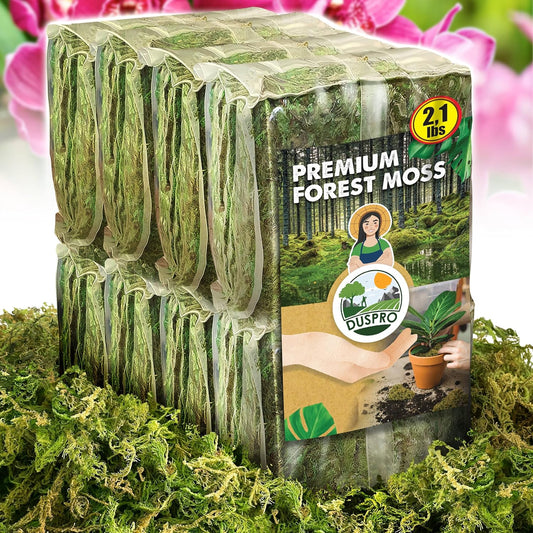 DUSPRO Dried Moss for Potted Plants - Ideal for Indoor Use