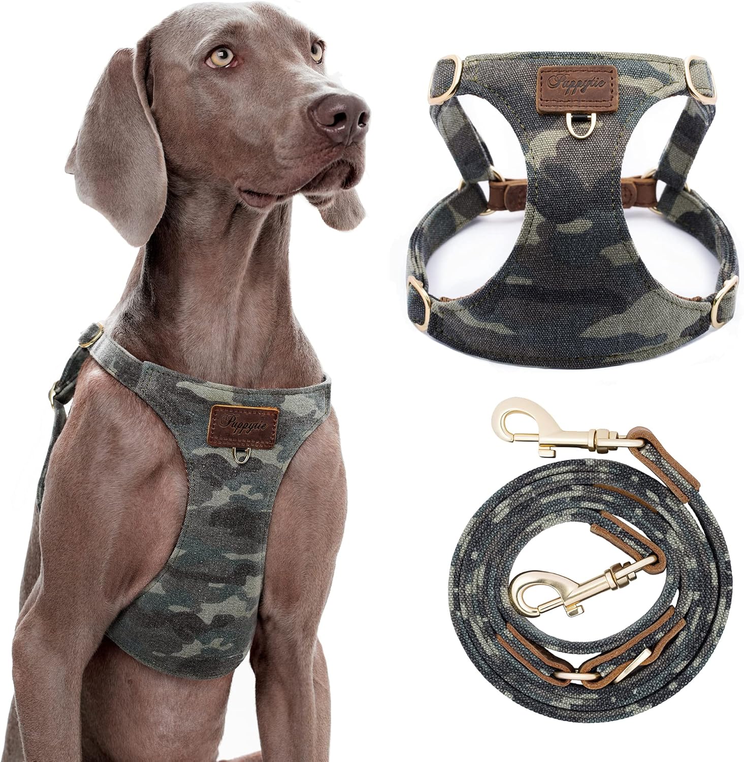 No Pull Dog Harness and Multi-Function Leash Set for Medium Dogs