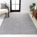 Haze Solid Low-Pile Gray Area Rug 5x8 - Durable, Pet-Friendly Floor