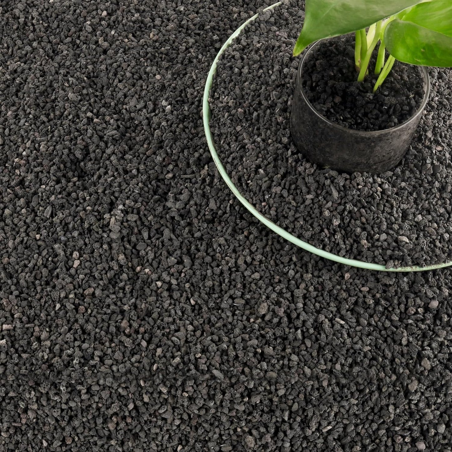 18LB Black Lava Rocks for Plants - Ideal for Drainage and Growth