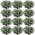 Janinka Mixed Eucalyptus Leaves Stems Bulk with White Seeds - Wedding