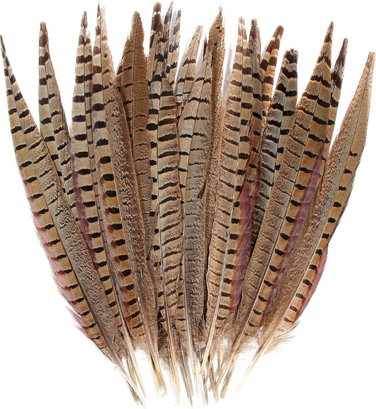 20pcs Male Pheasant Feather Natural Tails for Crafts & Decor