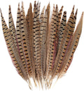20 Piece Natural Male Pheasant Feather Tails for Crafts and Decor