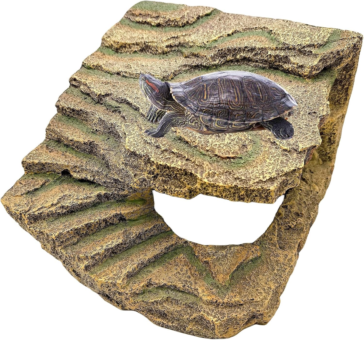 Large Turtle Basking Platform for Bearded Dragons and Lizards