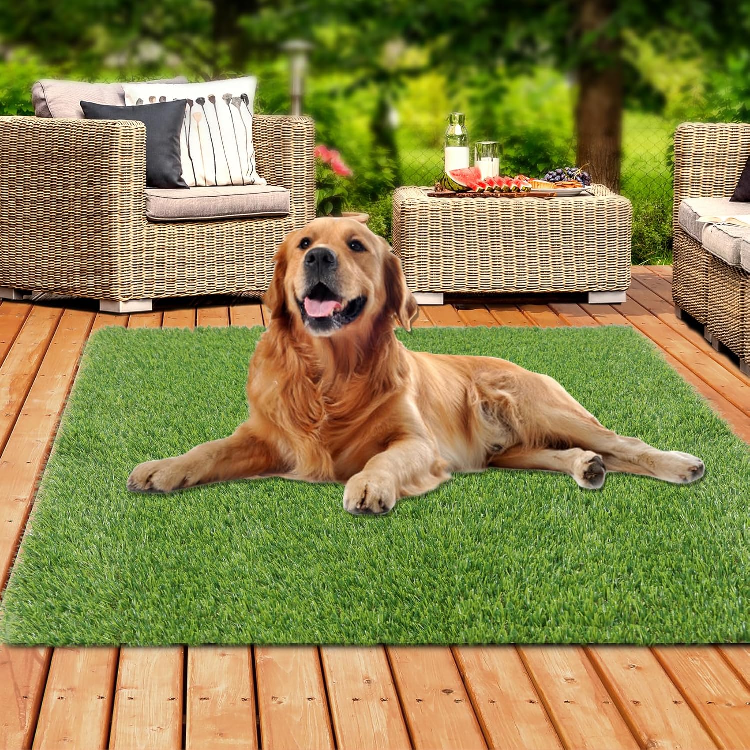 XLX TURF 4 FT x 4 FT Fake Grass for Dogs Potty and Decor