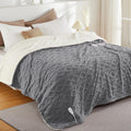 Electric Blanket King Size Dual Control Sherpa Heated Blanket - Fast