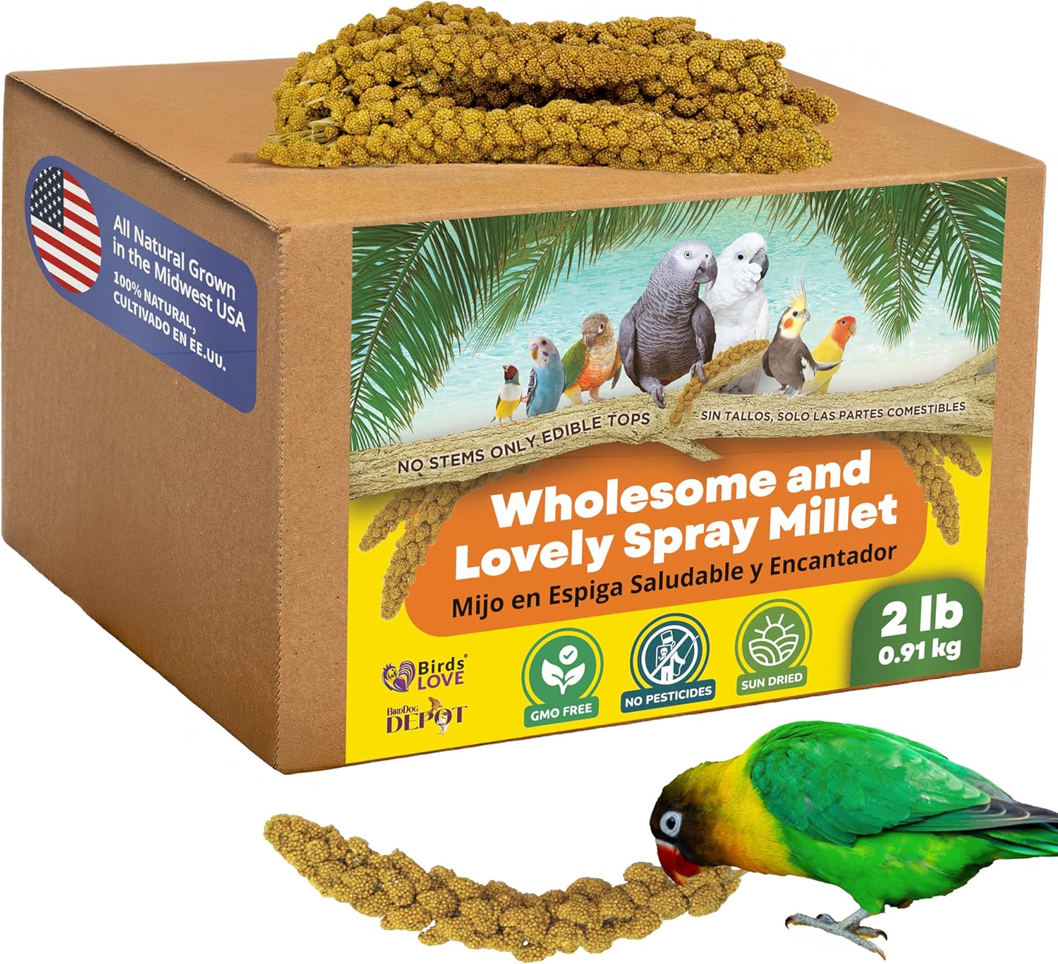 Birds LOVE Wholesome Spray Millet Non-GMO for All Birds Treat