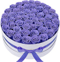 50 Piece Roses in a Velvet Box - Everlasting Preserved Flowers Gift