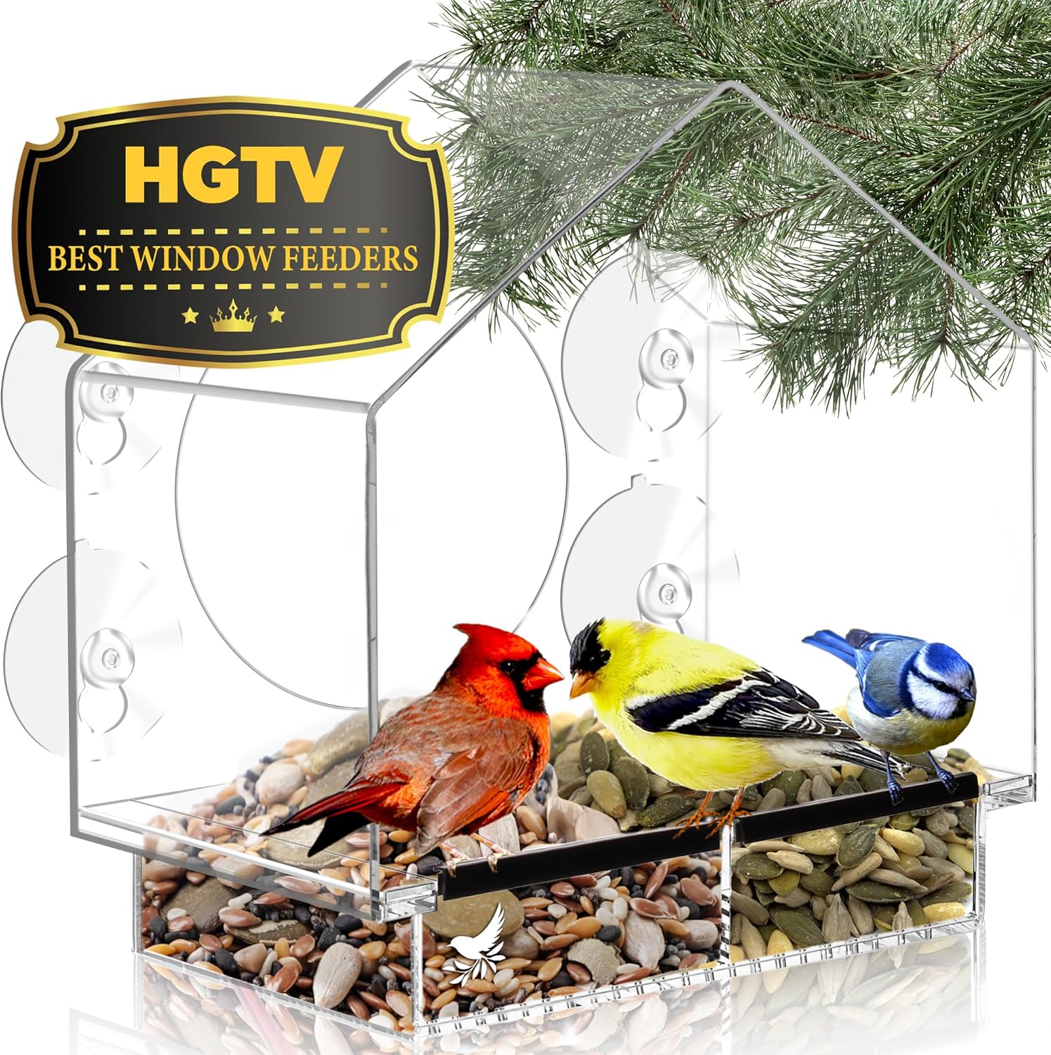 Clear Bird Feeders for Window Viewing - Nature's Hangout