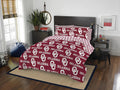Northwest NCAA Unisex-Adult Bed in a Bag Set - Team Logo Comfort