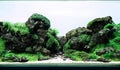 LANDEN Black Icelandic Lava Stone for Aquariums and Terrariums