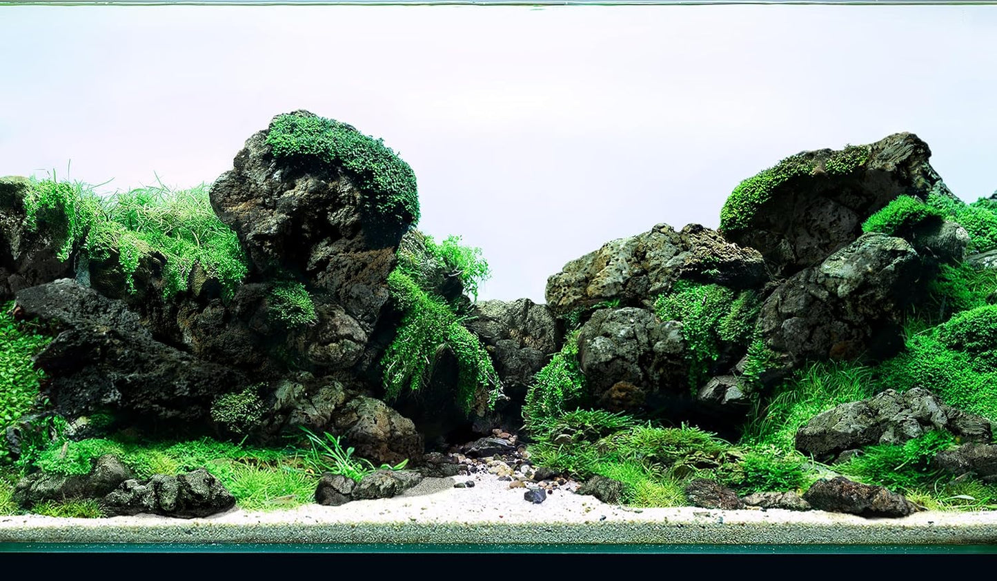 LANDEN Black Icelandic Lava Stone for Aquariums and Terrariums