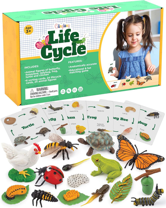 Life Cycle Animal Kit - Montessori Science Toy for Kids Ages 3-10