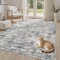 Area Rug for Living Room: 5x7 Washable Neutral Abstract Soft