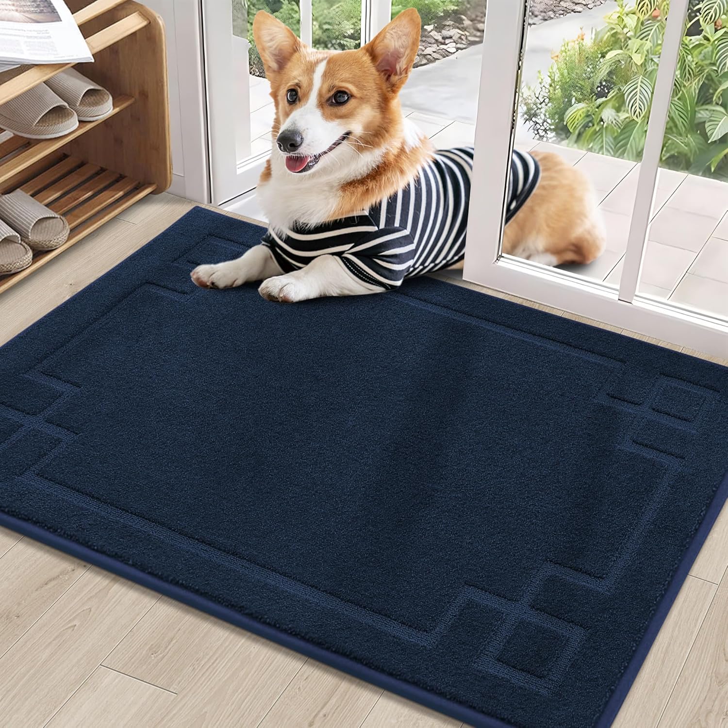 BEQHAUSE Non-Slip Door Mat 24in x 36in for Indoor Entryway