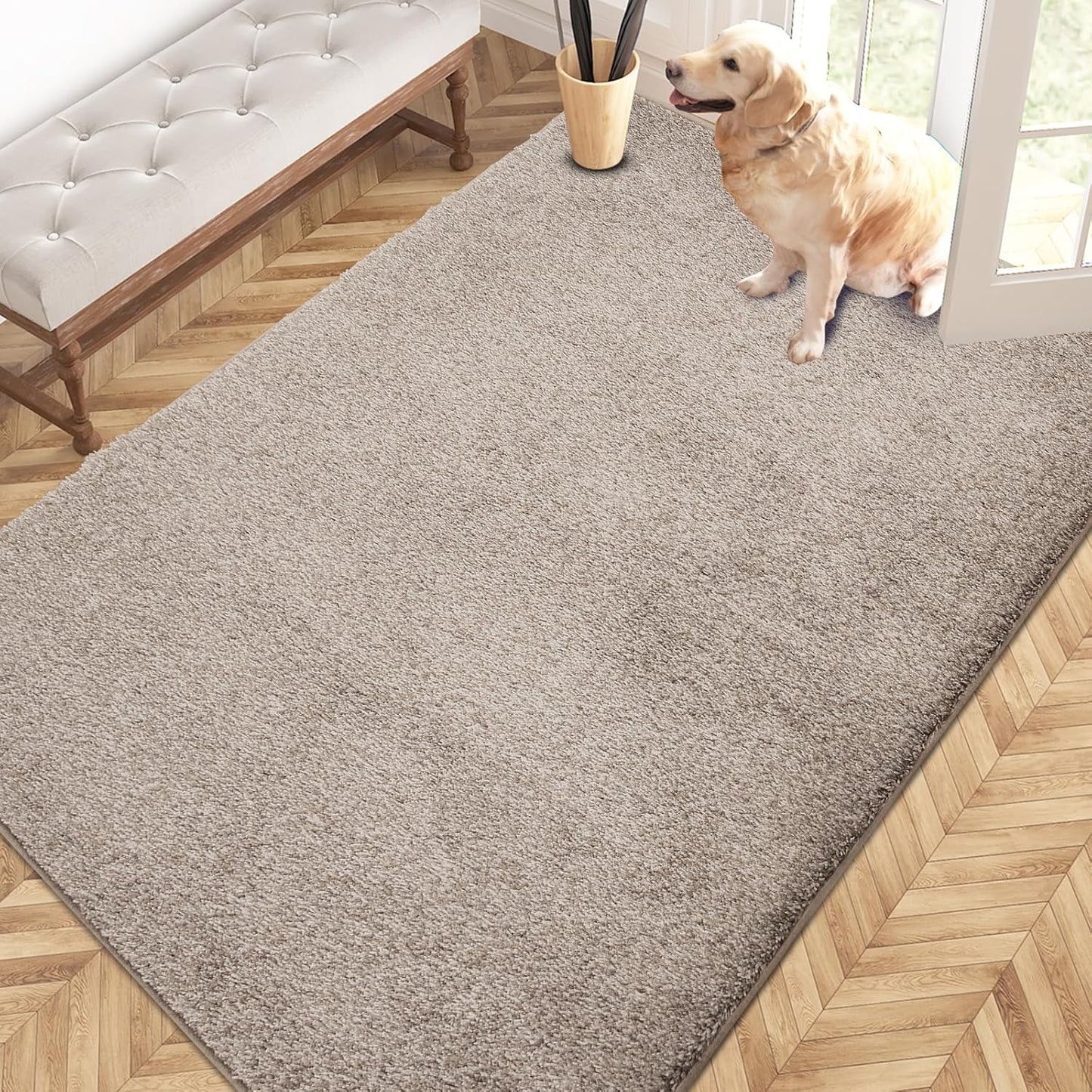 PURRUGS Easy Care Area Rug 4ft x 6ft for Entryways and More
