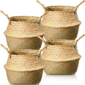 Seagrass Woven Plant Baskets Set of 4 - Natural Boho Planters