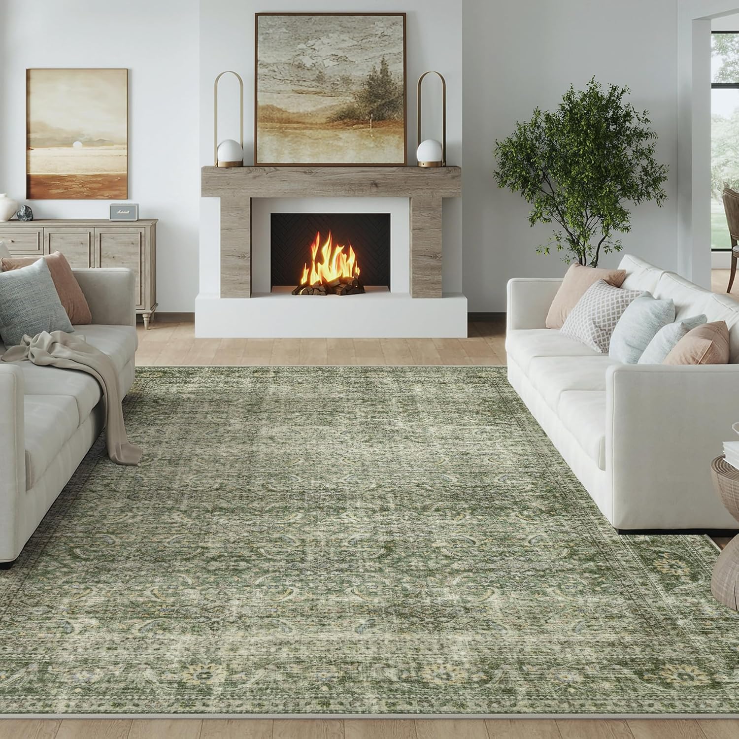FMFUNCTEX 6x9 Washable Area Rug for Living Room and Bedroom