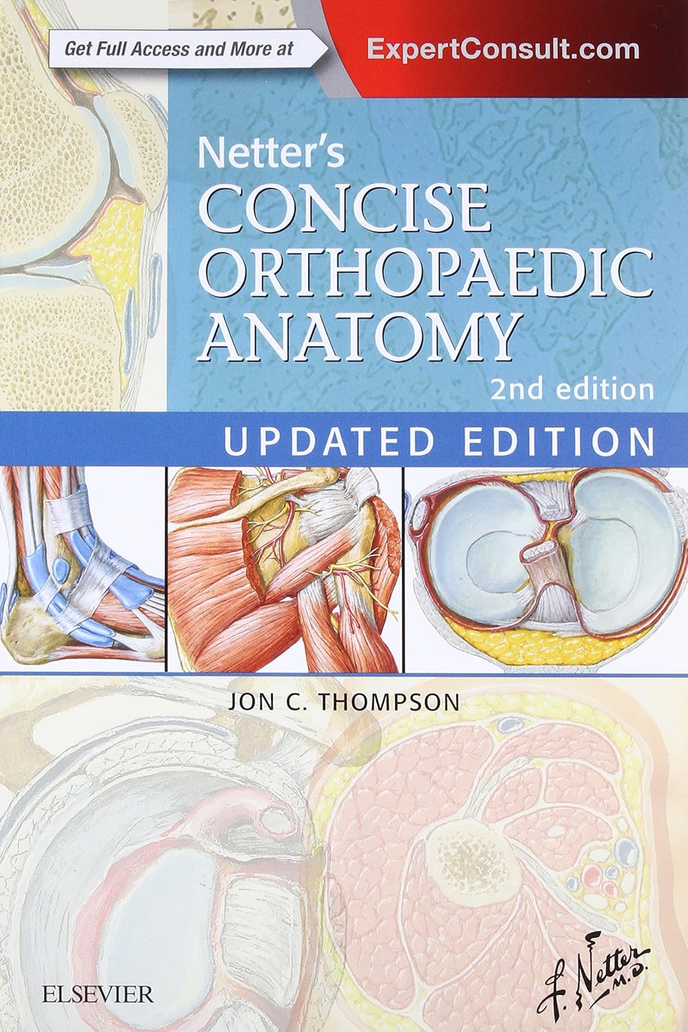 Netter's Concise Orthopaedic Anatomy Book for Medical Students