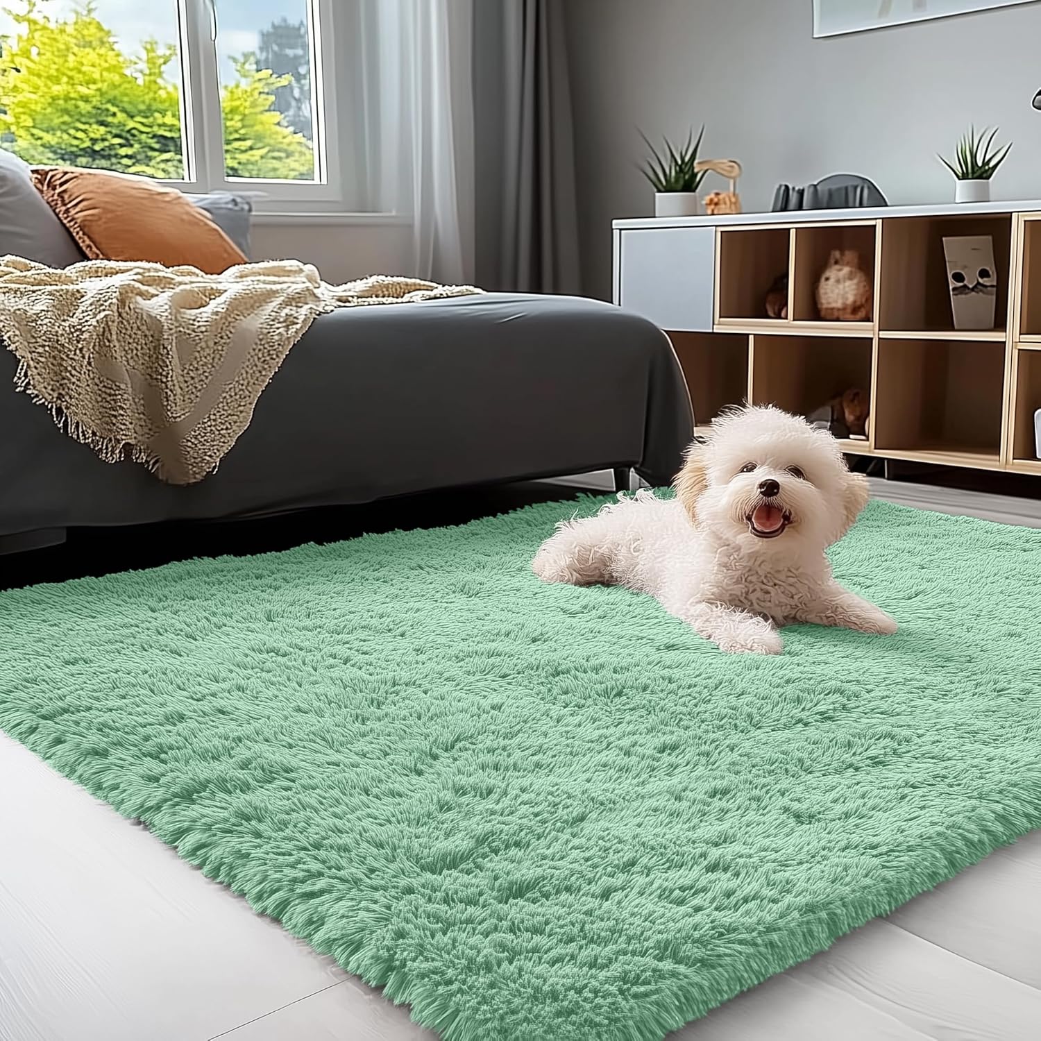 OLANLY 3x5 Machine Washable Soft Shaggy Bedside Rug for Home