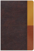 Reina Valera 1960 Biblia de Estudio Arcoiris - Estudio y referencia