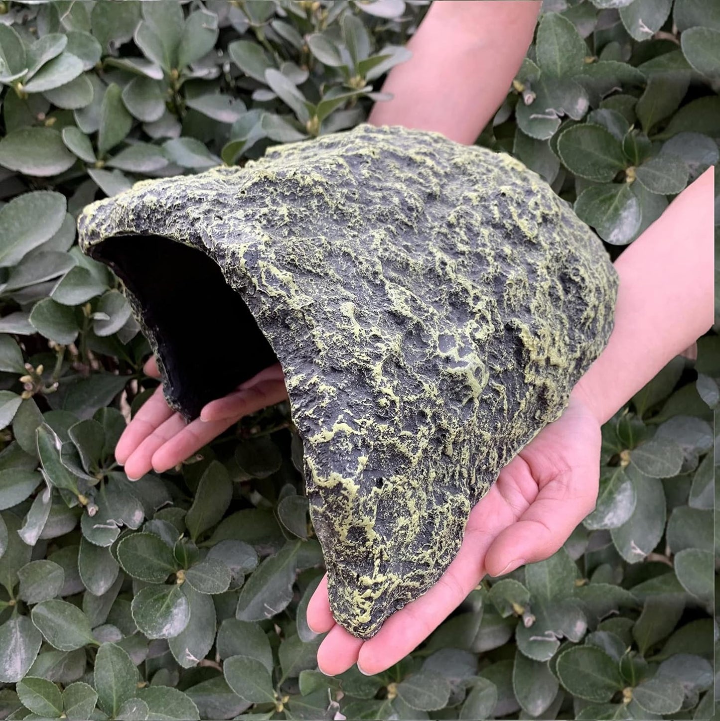 Oversize Reptile Hides and Caves for Bearded Dragons and Snakes