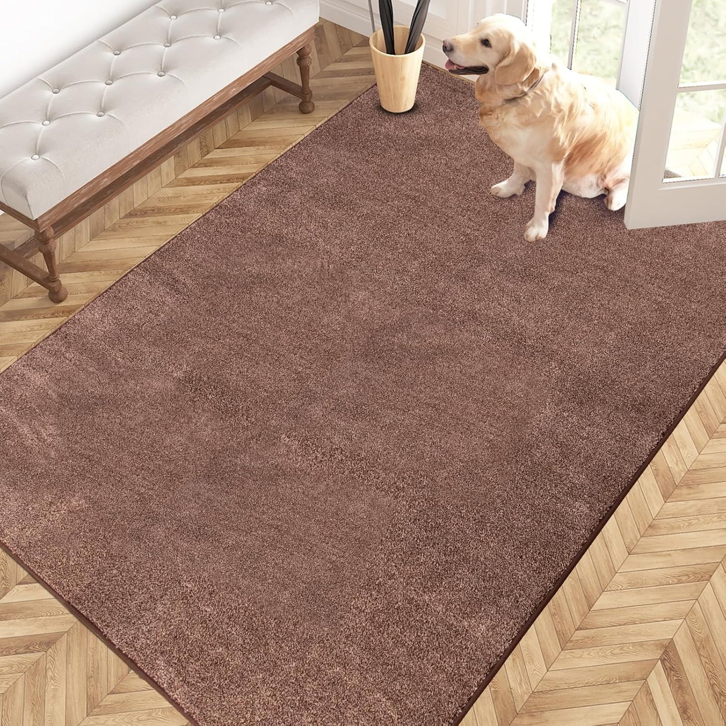 PURRUGS Easy Care Area Rug 4ft x 6ft for Every Home Need