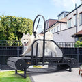 Dog Treadmill for Large/Medium Dogs - Adjustable Ramp Slatmill
