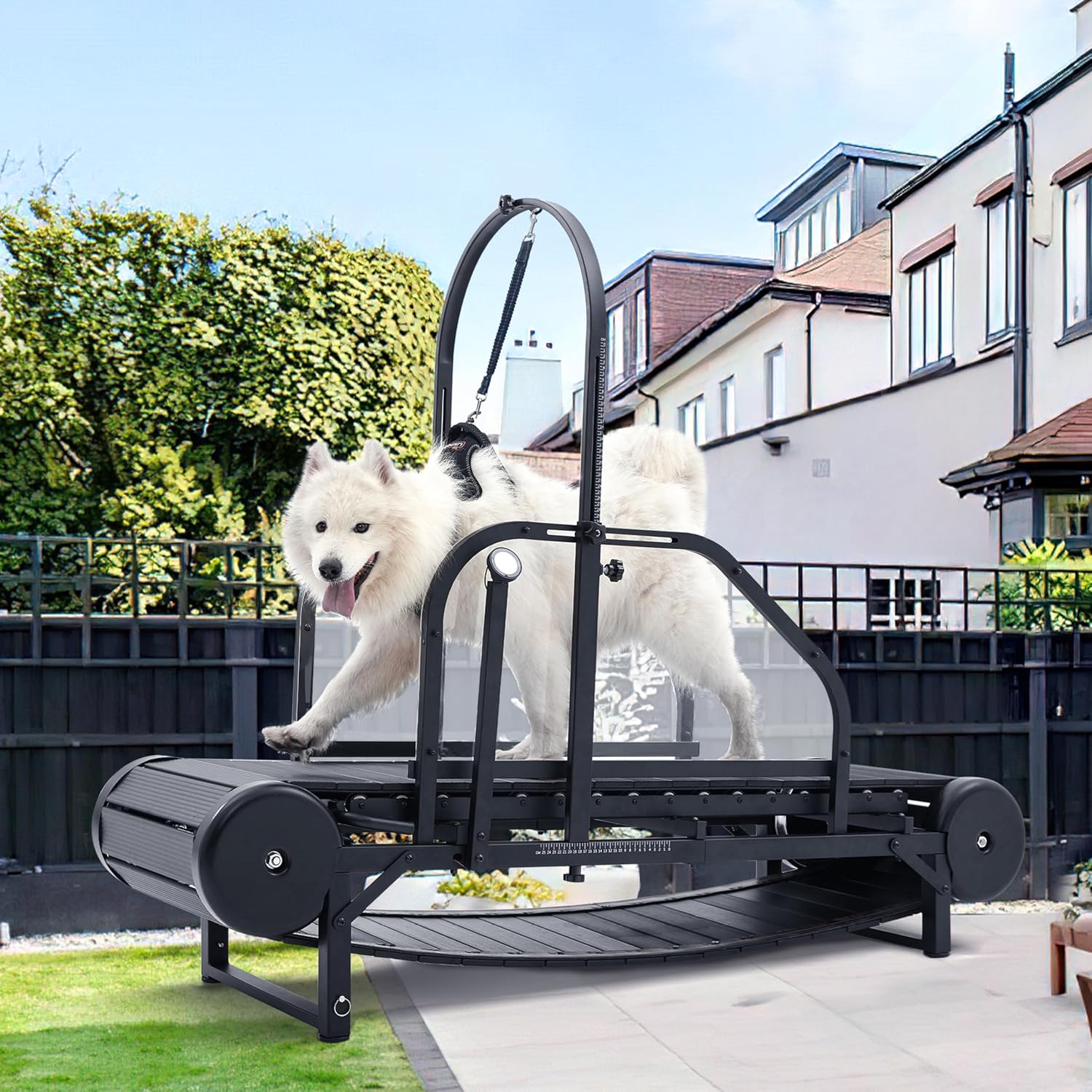 Dog Treadmill for Large and Medium Dogs - Adjustable Ramp Slatmill