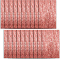 Foil Curtain Backdrop Rose Gold Tinsel Fringe 20 Pack - Party Photo