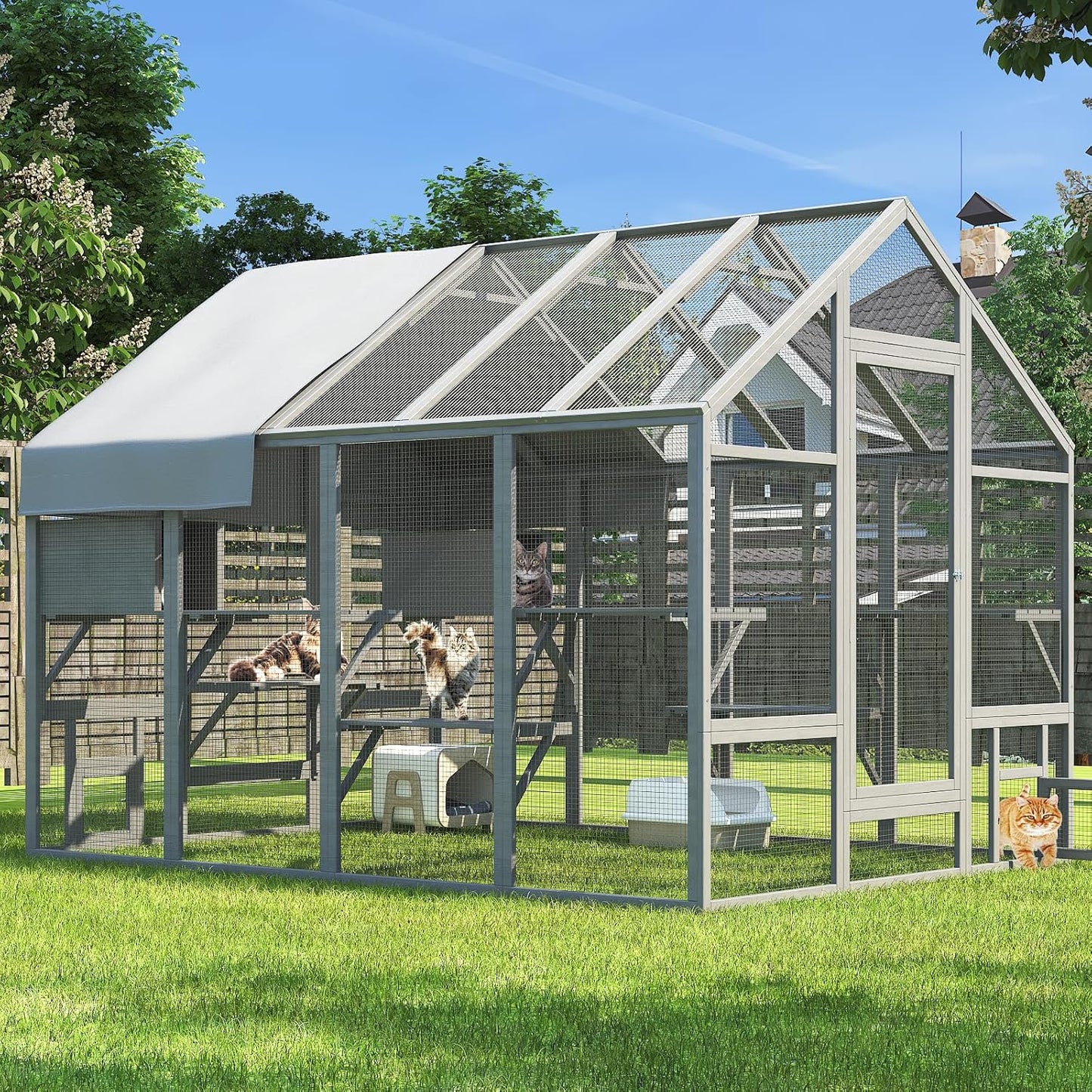 Large Outdoor Cat Catio with Platforms and Resting Boxes
