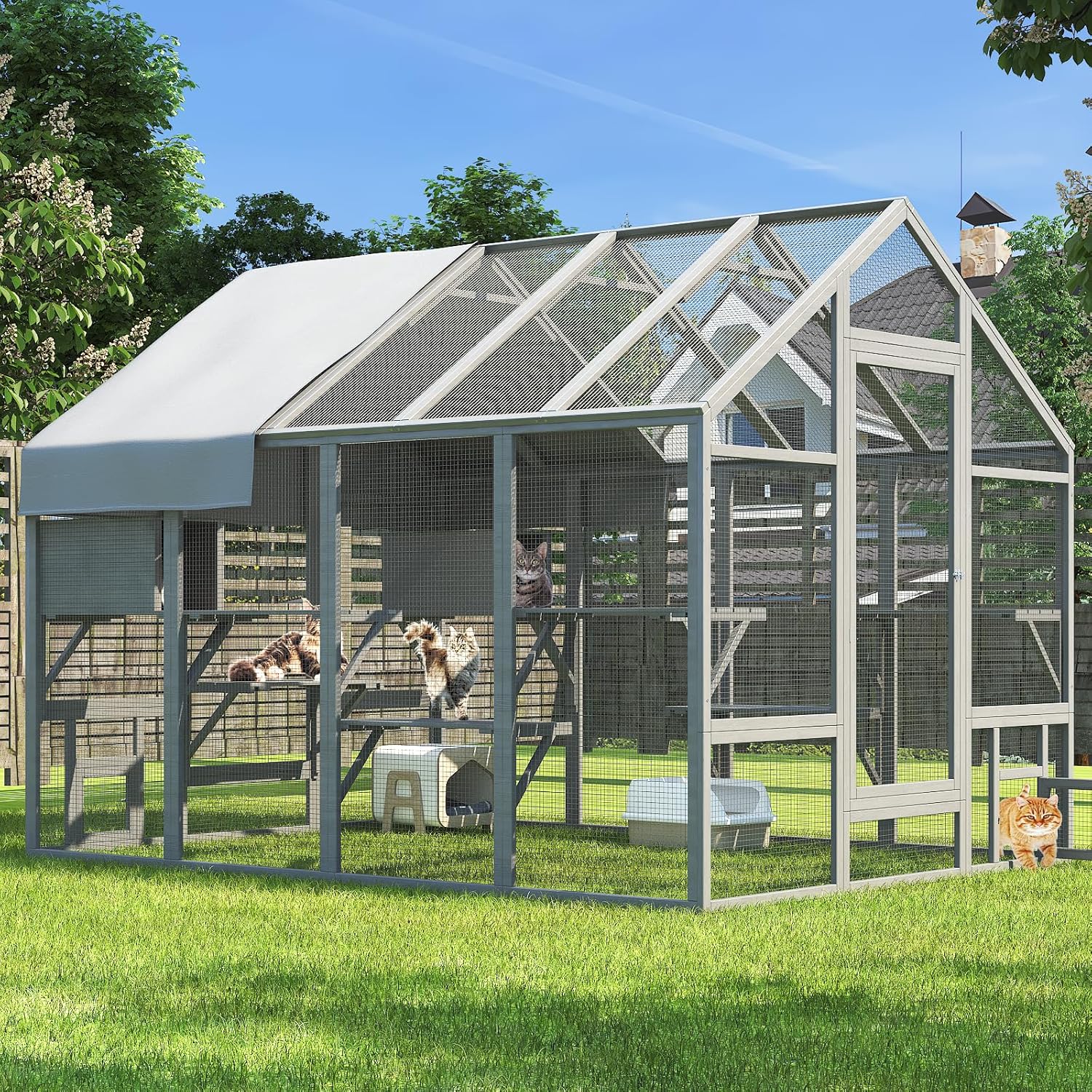 Large Outdoor Cat Catio with Platforms and Resting Boxes