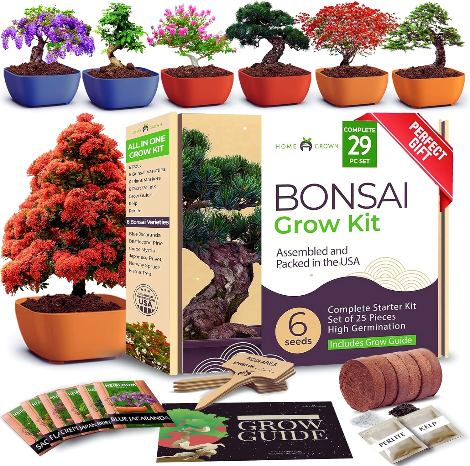 Bonsai Tree Kit for Adults & Beginners - Unique Gift Idea