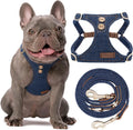 No Pull Dog Harness With Multifunction Leash - Comfort No Choke Vest