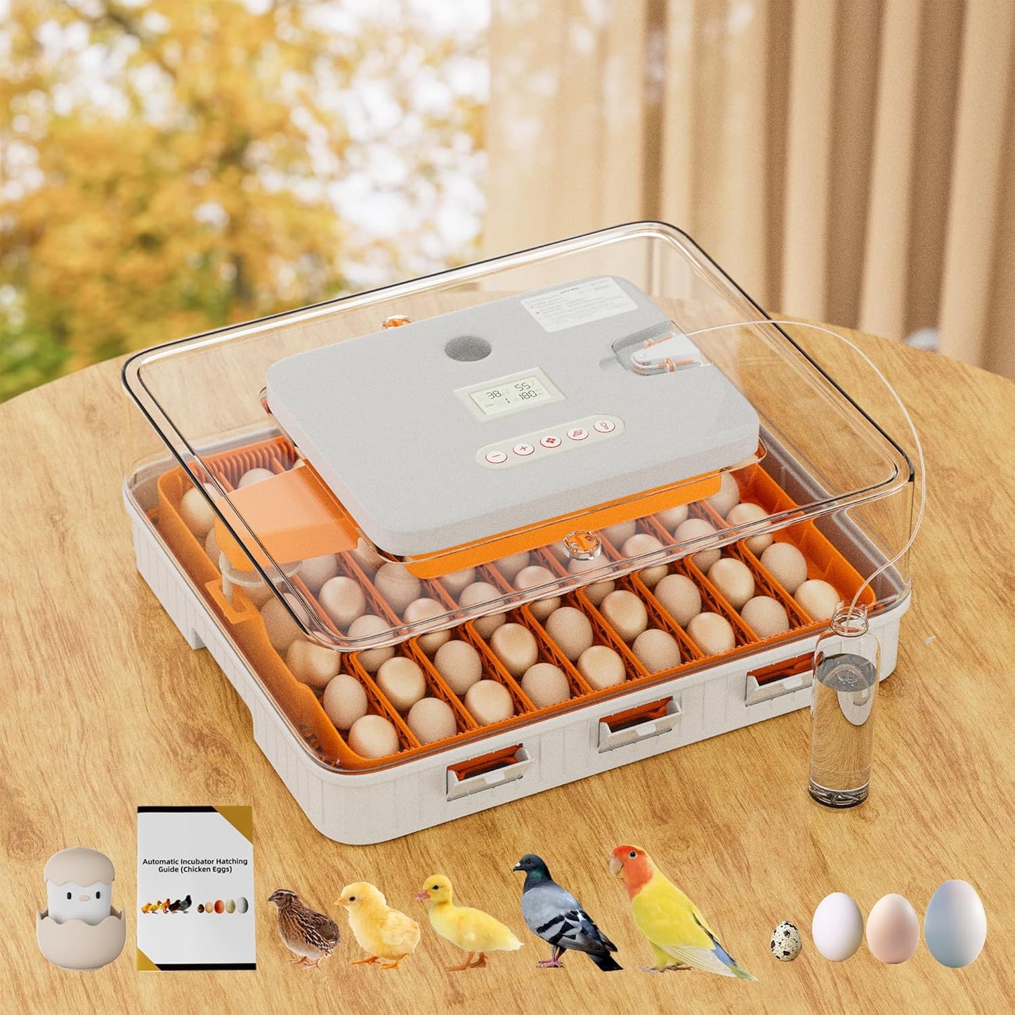 56 Egg Incubator with Smart Temp Control for Home & Farm Use